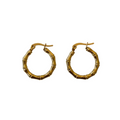 Radiant Muse Earrings