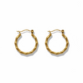 Urban Luxe Earrings