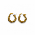 Luna Shine Earrings